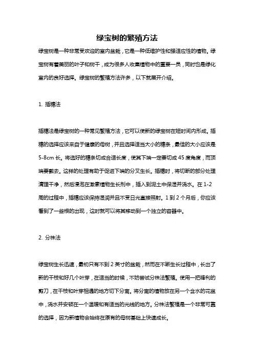 绿宝树的繁殖方法