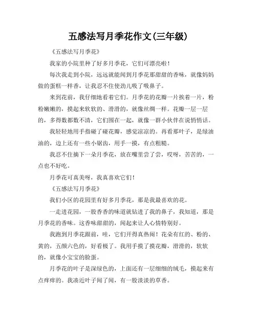 五感法写月季花作文(三年级)