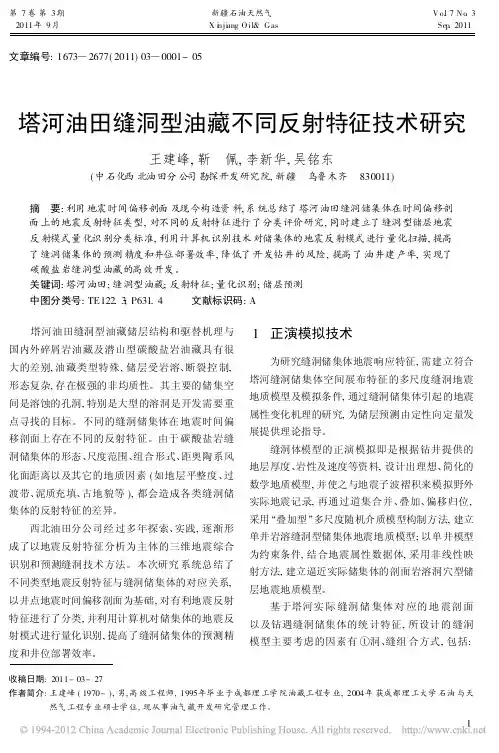 塔河油田缝洞型油藏不同反射特征技术研究_王建峰