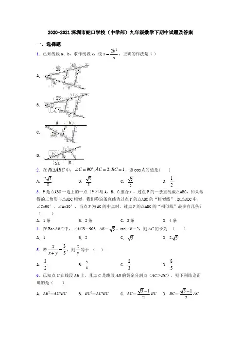 2020-2021深圳市蛇口学校(中学部)九年级数学下期中试题及答案