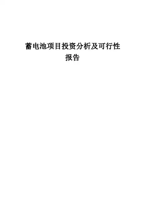 2024年蓄电池项目投资分析及可行性报告