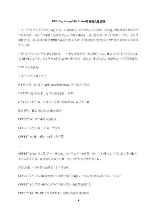 TIFF(Tag Image File Format) 图像文件说明