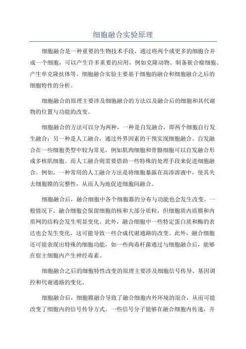 细胞融合实验原理