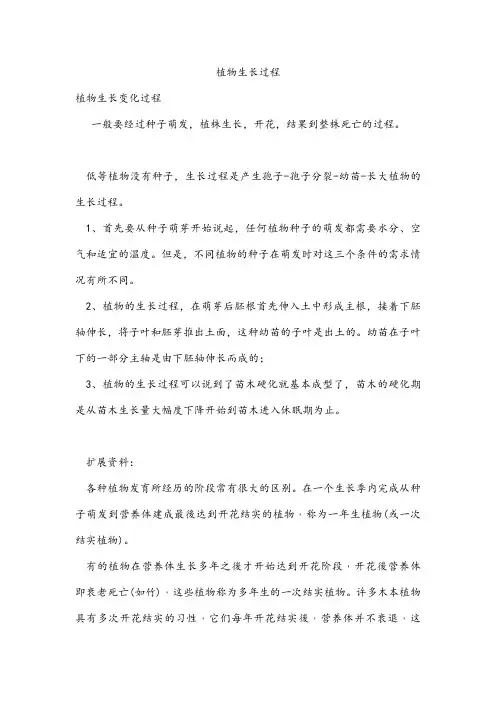 植物生长过程 