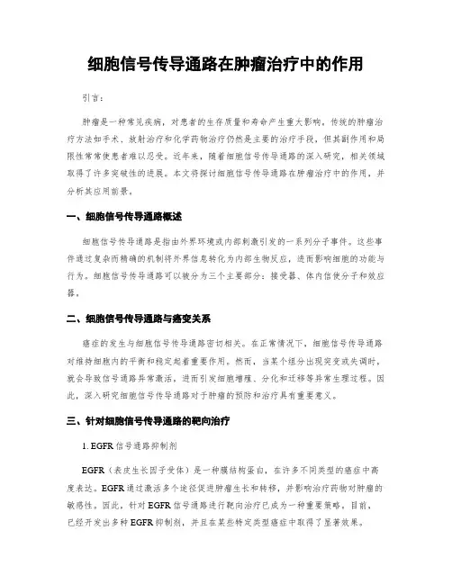 细胞信号传导通路在肿瘤治疗中的作用