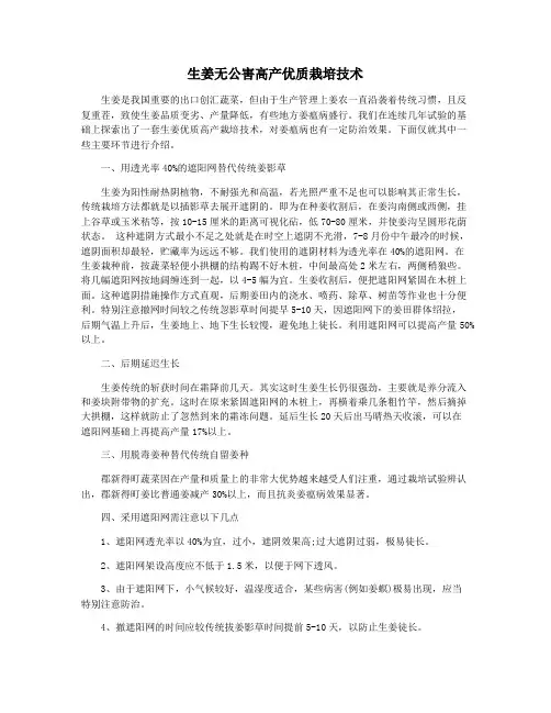 生姜无公害高产优质栽培技术
