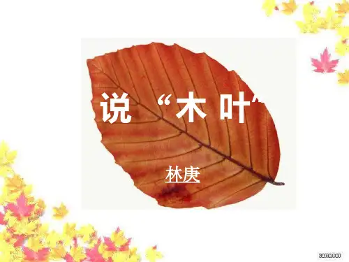 人教版必修五《说木叶》课件 (21张PPT)