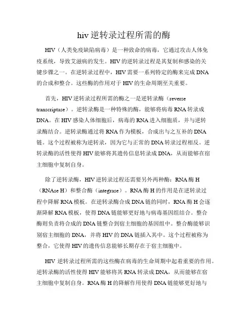 hiv逆转录过程所需的酶