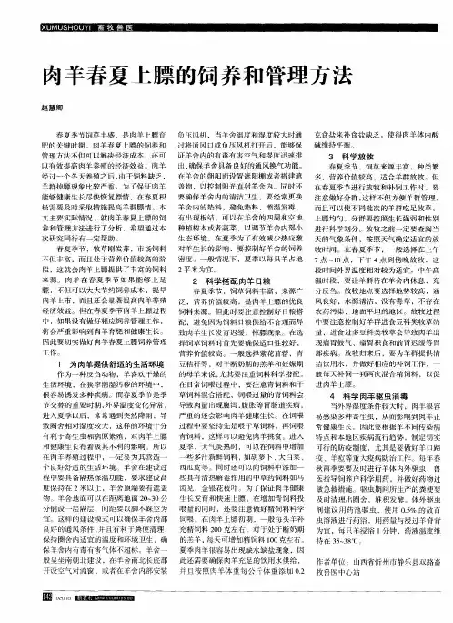 肉羊春夏上膘的饲养和管理方法
