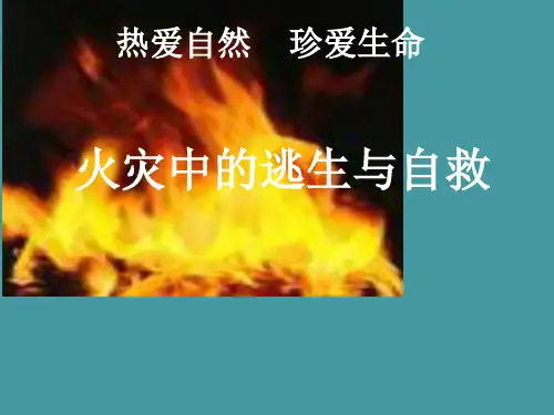 六年级安全教育课件-火灾中的逃生与自救 全国通用(共16张PPT)