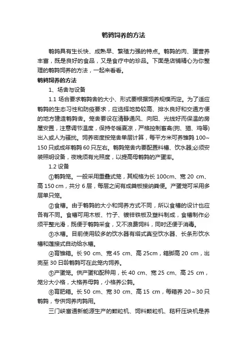 鹌鹑饲养的方法