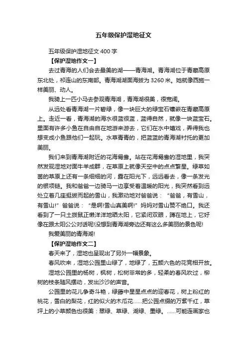 五年级保护湿地征文400字