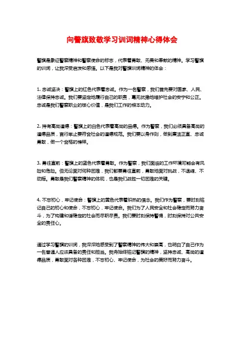 向警旗致敬学习训词精神心得体会