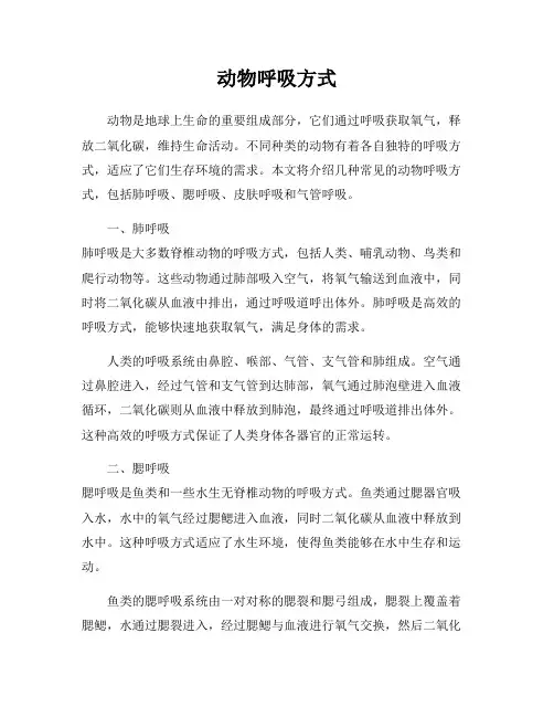 动物呼吸方式