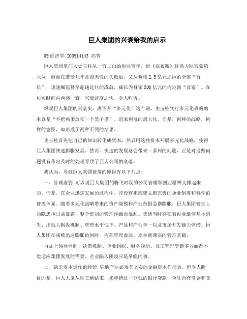 巨人集团的兴衰给我的启示