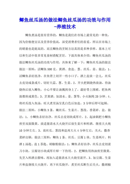 鲫鱼丝瓜汤的做法  鲫鱼丝瓜汤的功效与作用 - 养殖技术