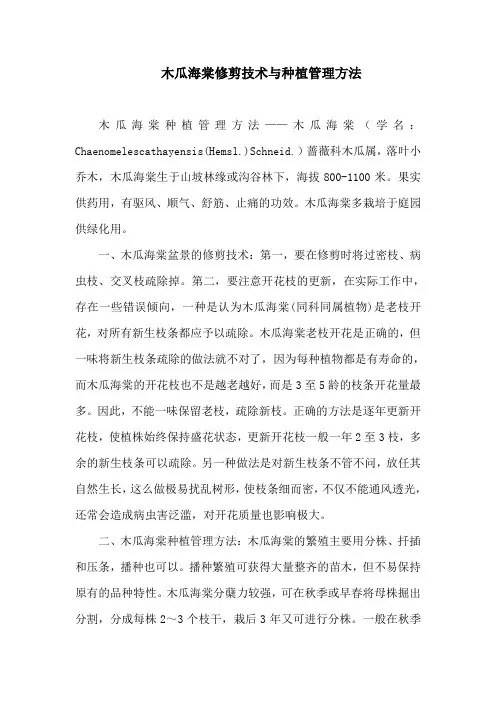 木瓜海棠修剪技术与种植管理方法