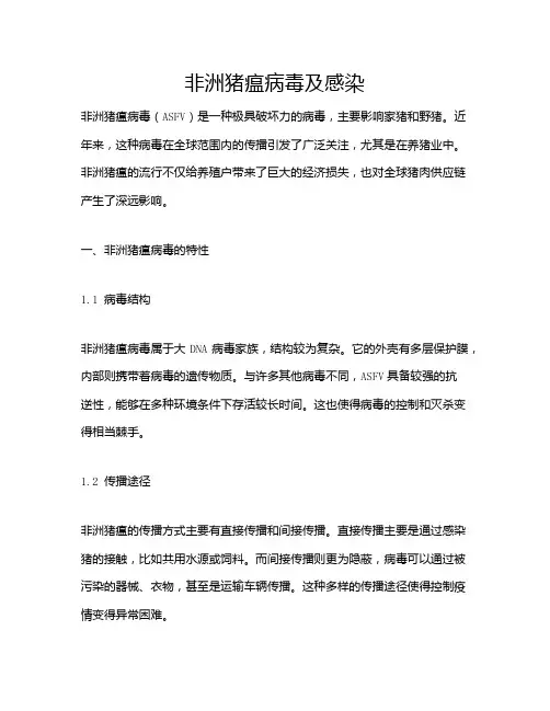 非洲猪瘟病毒及感染