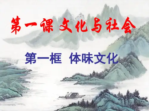 《文化生活》第一课第一框 体味文化精品PPT课件