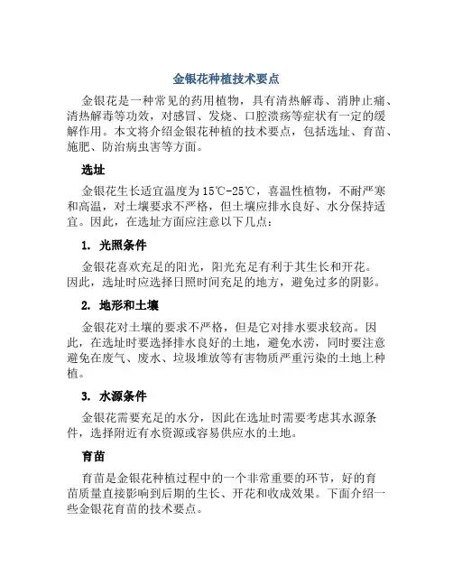 金银花种植技术要点