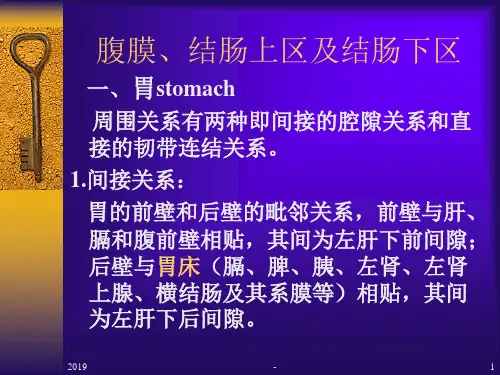 腹膜、结肠上区及结肠下ppt课件