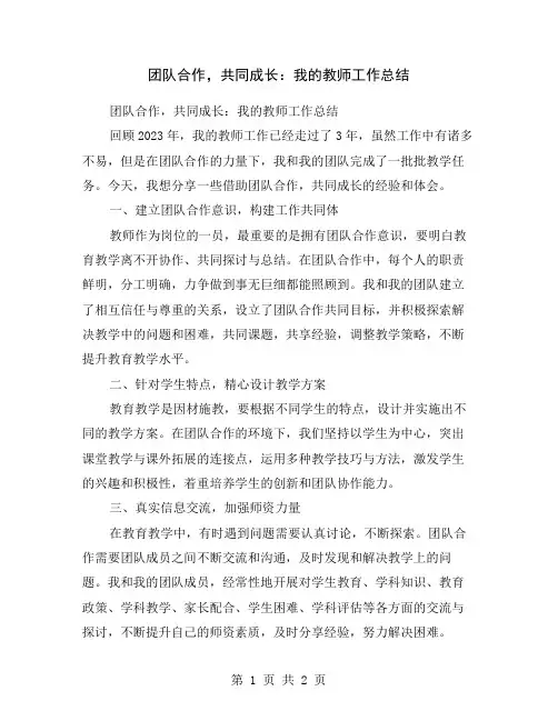 团队合作,共同成长：我的教师工作总结