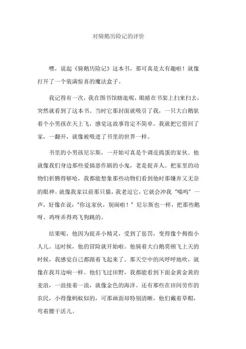 对骑鹅历险记的评价