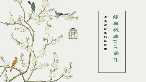 《绦虫概述》课件