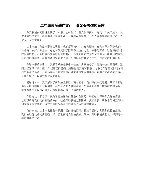 二年级读后感作文：一群光头男孩读后感