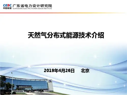 燃气分布式能源技术介绍56页PPT文档
