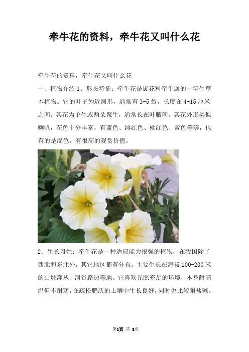牵牛花的资料，牵牛花又叫什么花