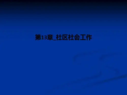 第13章社区社会工作PPT课件