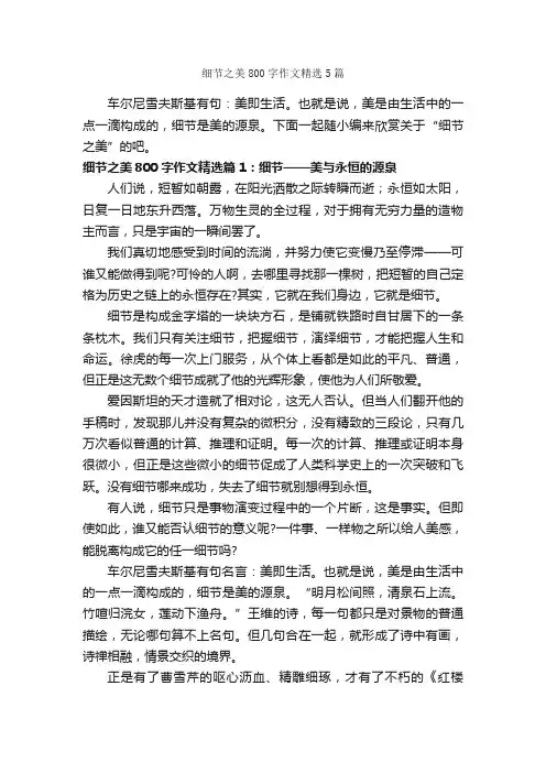 细节之美800字作文精选5篇_高二作文_