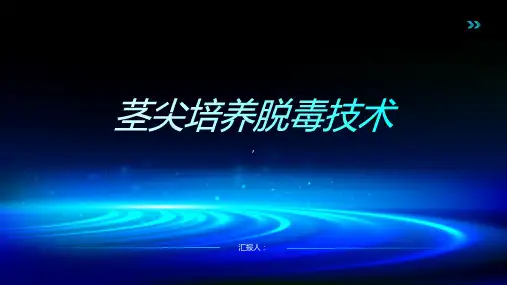 《茎尖培养脱毒技术》课件