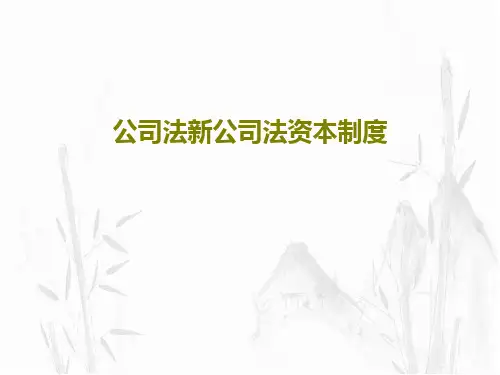 公司法新公司法资本制度PPT104页