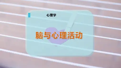 脑与心理活动