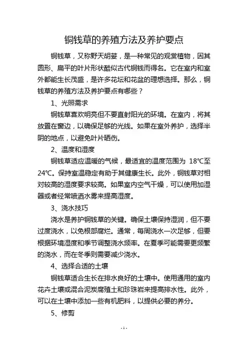 铜钱草的养殖方法及养护要点