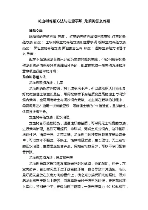 龙血树养殖方法与注意事项_龙须树怎么养殖
