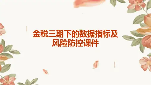讲解金税三期下的数据指标及风险防控课件