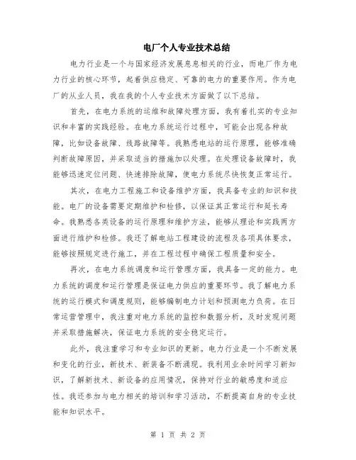 电厂个人专业技术总结