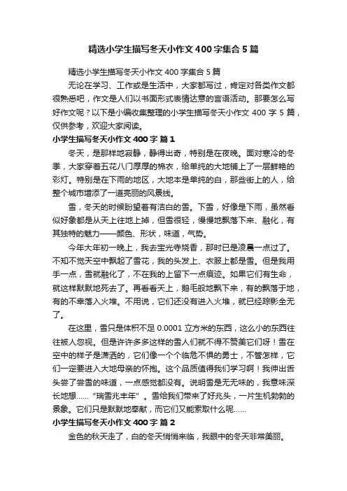 精选小学生描写冬天小作文400字集合5篇