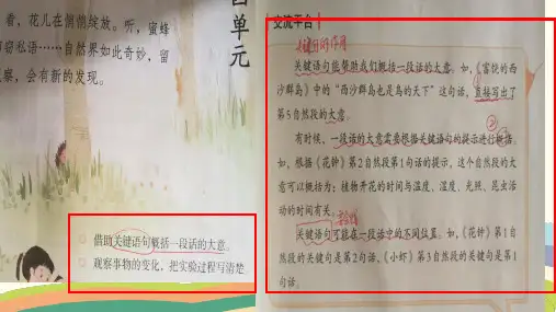 小学课件：借助关键句概括一段话大意