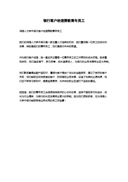 银行客户经理赞歌青年员工