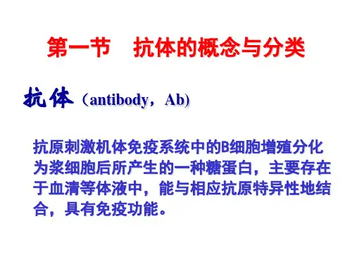 抗体综述PPT幻灯片
