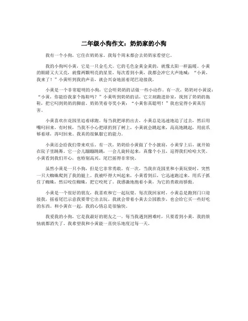 二年级小狗作文：奶奶家的小狗