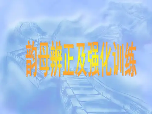 第三单元-韵母辩证及强化训练