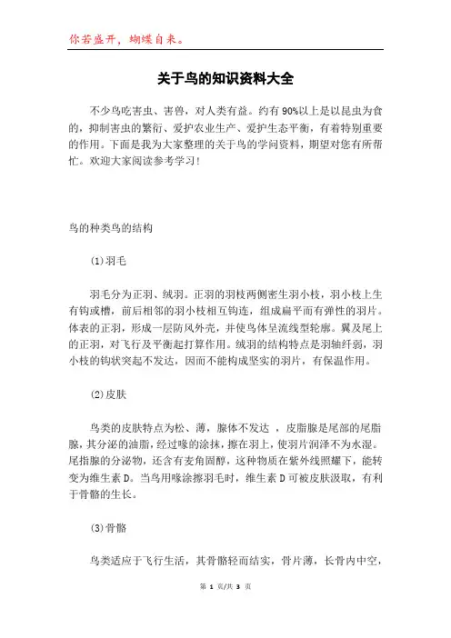 关于鸟的知识资料大全