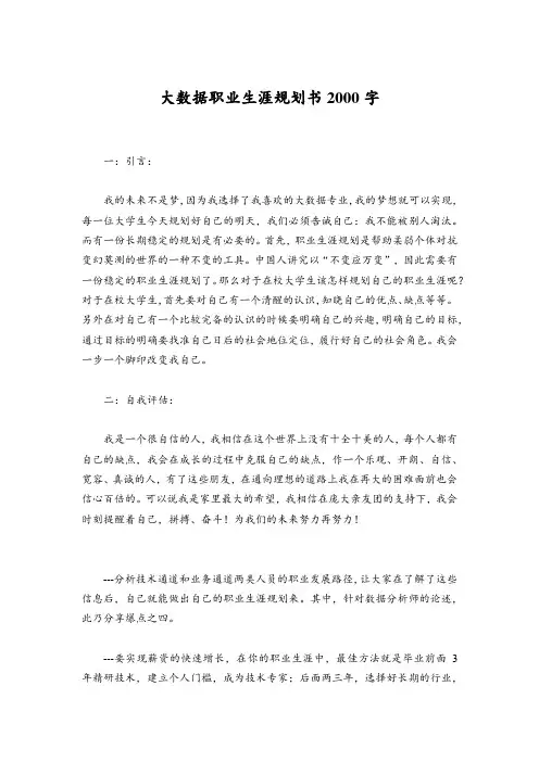 大数据职业生涯规划书2000字