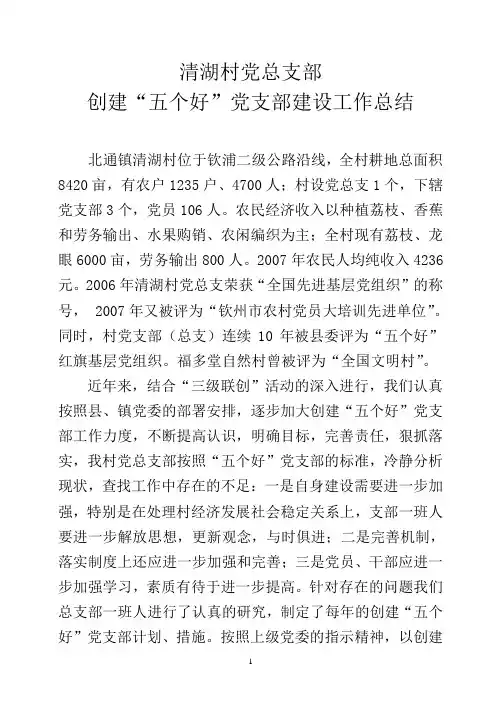 清湖村党总支部五个好工作总结