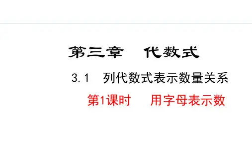 3.1.1  用字母表示数课件 2024-2025学年人教版数学七年级上册